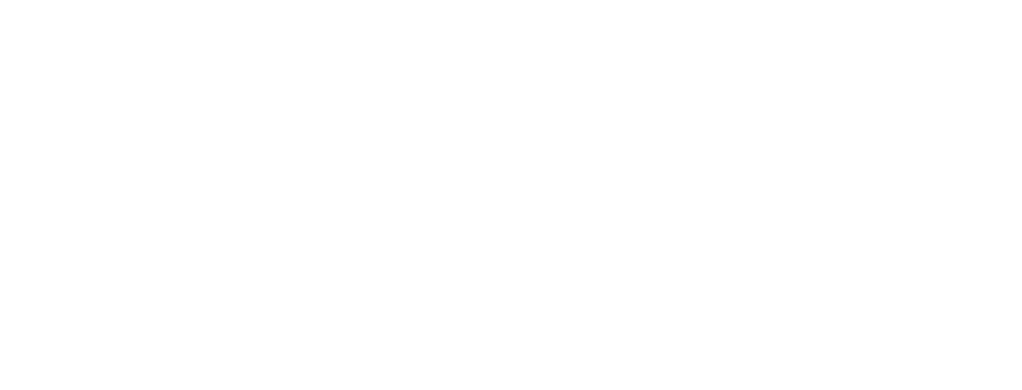 Secondary logo